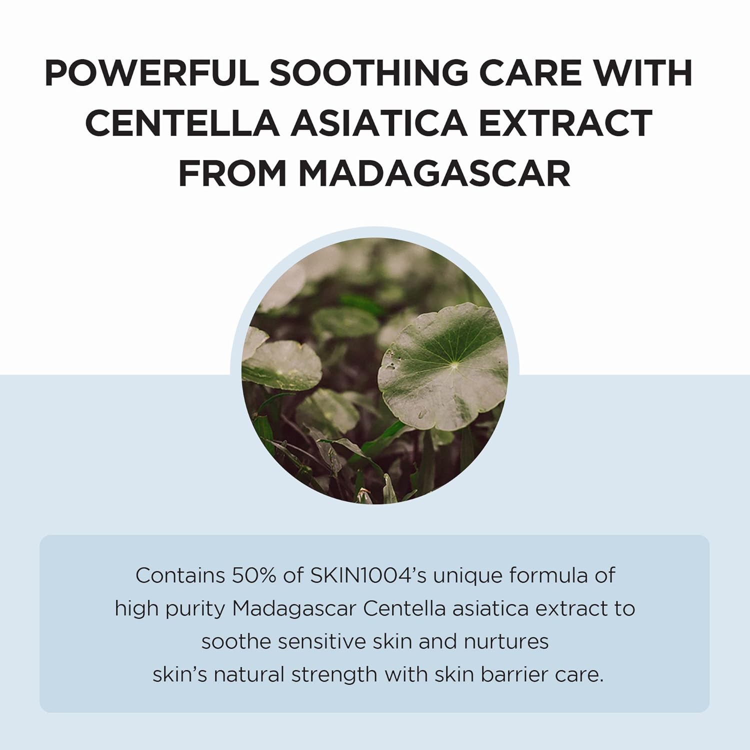 Skin1004 Centella Hyalu-Cica Water-Fit Sun Serum